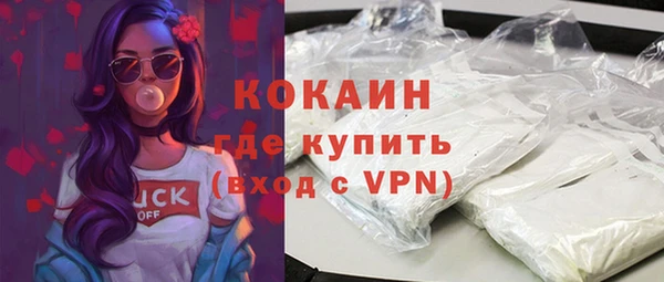 ПСИЛОЦИБИНОВЫЕ ГРИБЫ Осташков