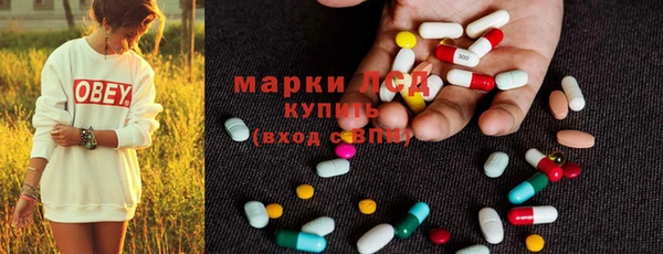 ПСИЛОЦИБИНОВЫЕ ГРИБЫ Осташков